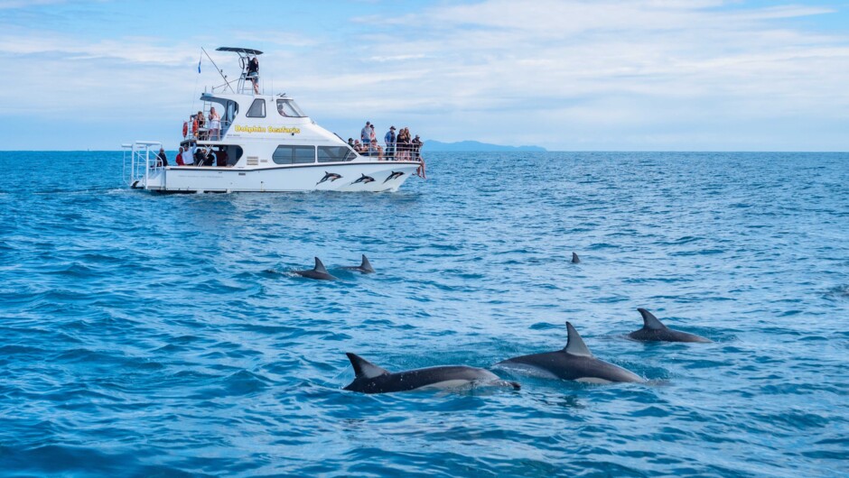 Our custom built vessel, Guardian