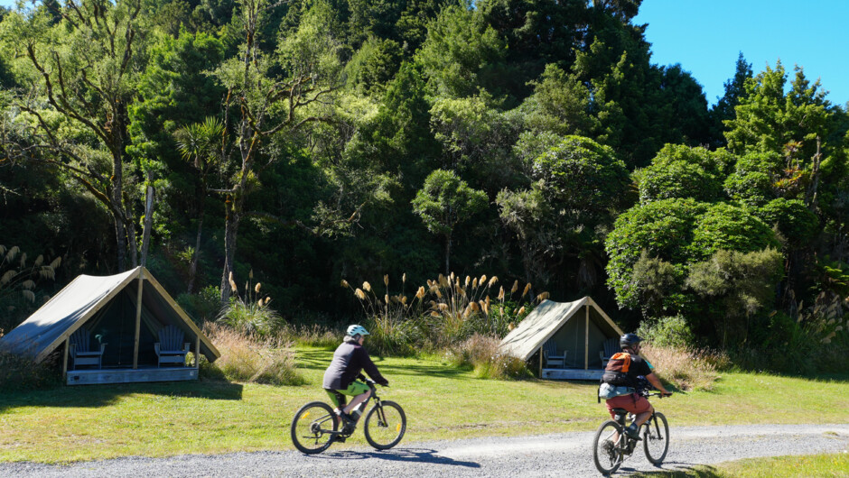 Bike in from the Timber Trail