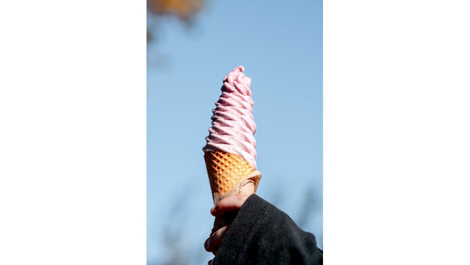 Real Fruit Ice Cream located at Jackson Orchards