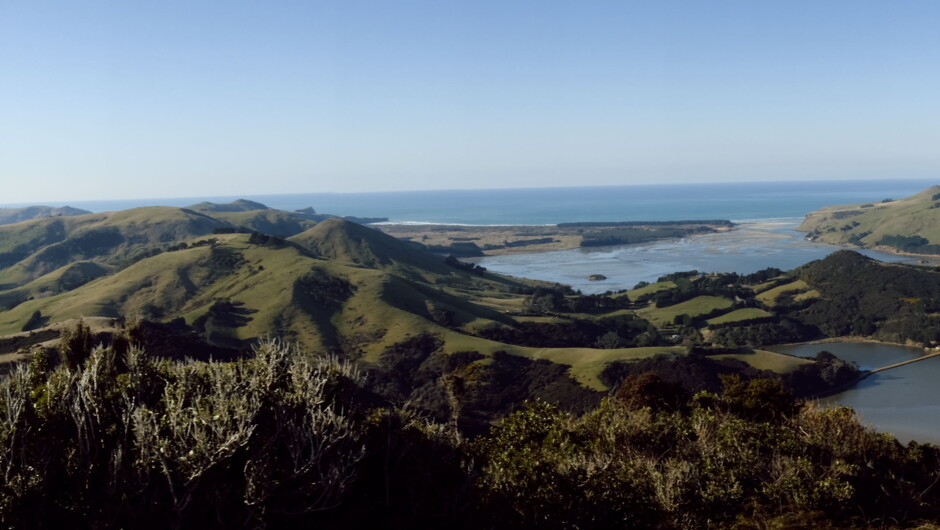 Otago Harbour/Peninsula hills