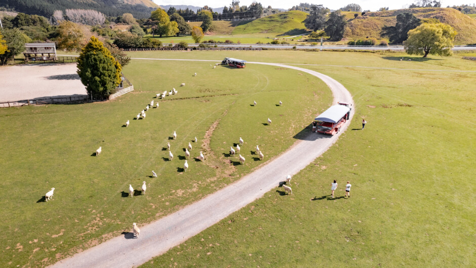 Agrodome Farm Tractor Tour