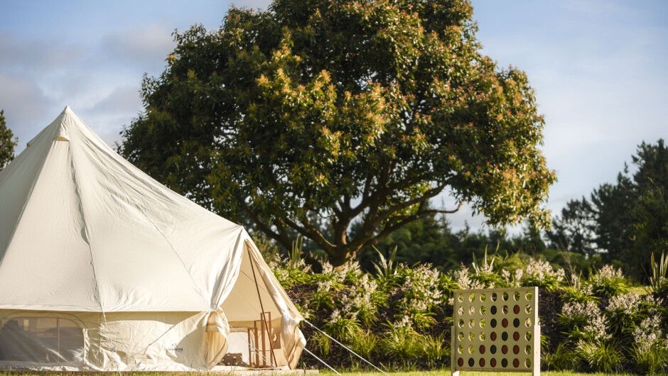 Simple joys on the lawn