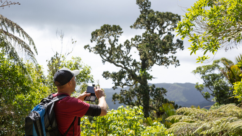 Walk through stunning native bush
