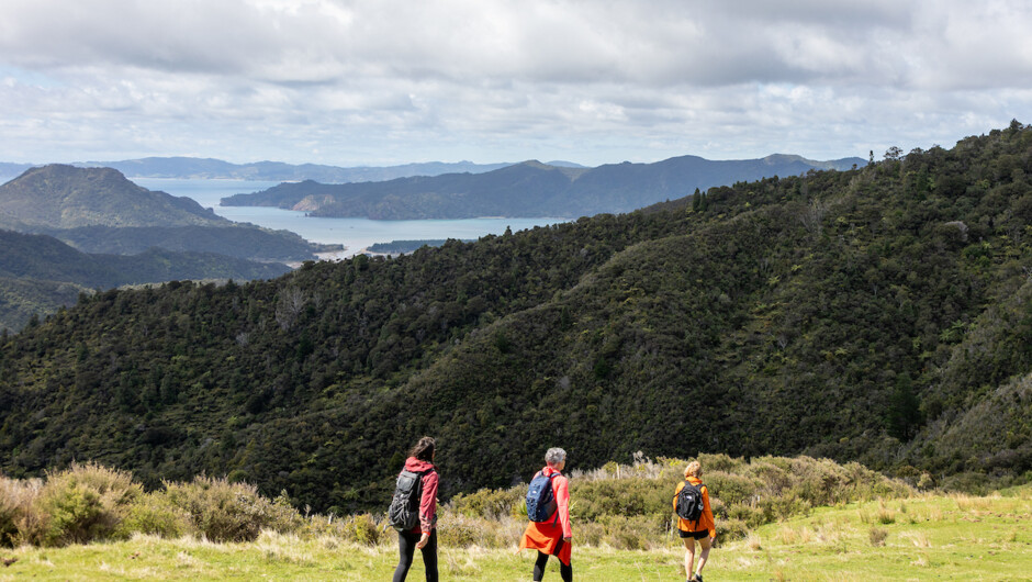 Take in the wide open spaces and views out across the Peninsula