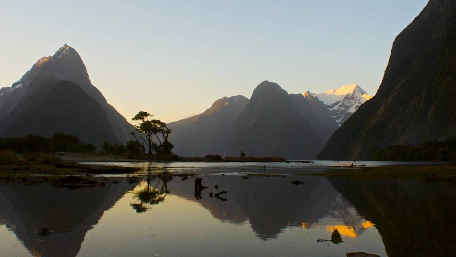 Cruise Milford Sound
