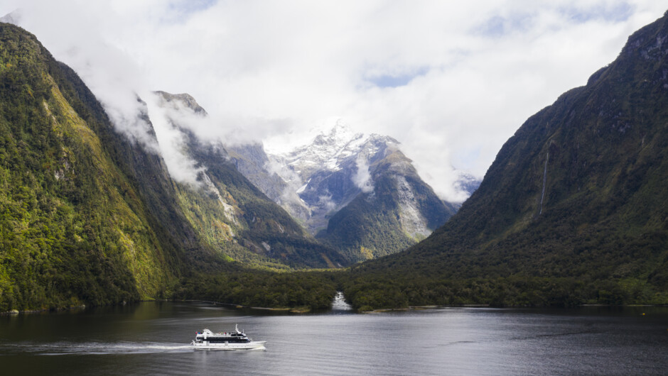 Milford Sound Classic Cruise