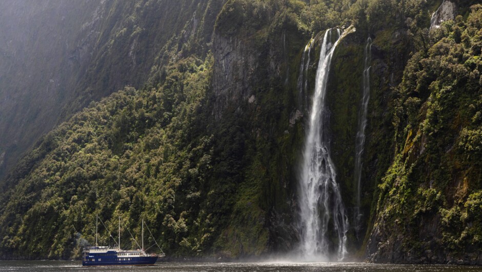 Milford Sound Signature Cruise on The Mariner