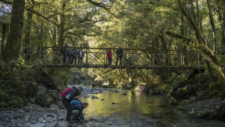 Milford Track
