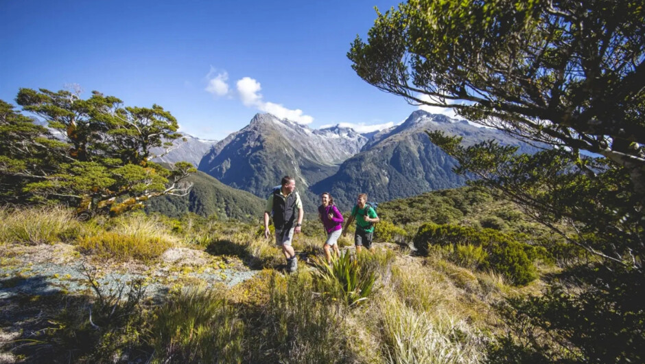 Routeburn Track