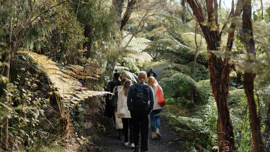 Native Forest Immersion