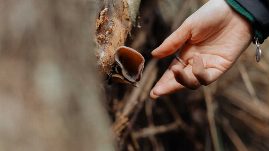 The Art of Discovery