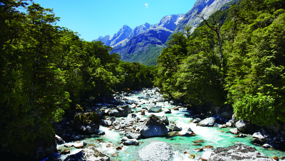 Upper Hollyford River