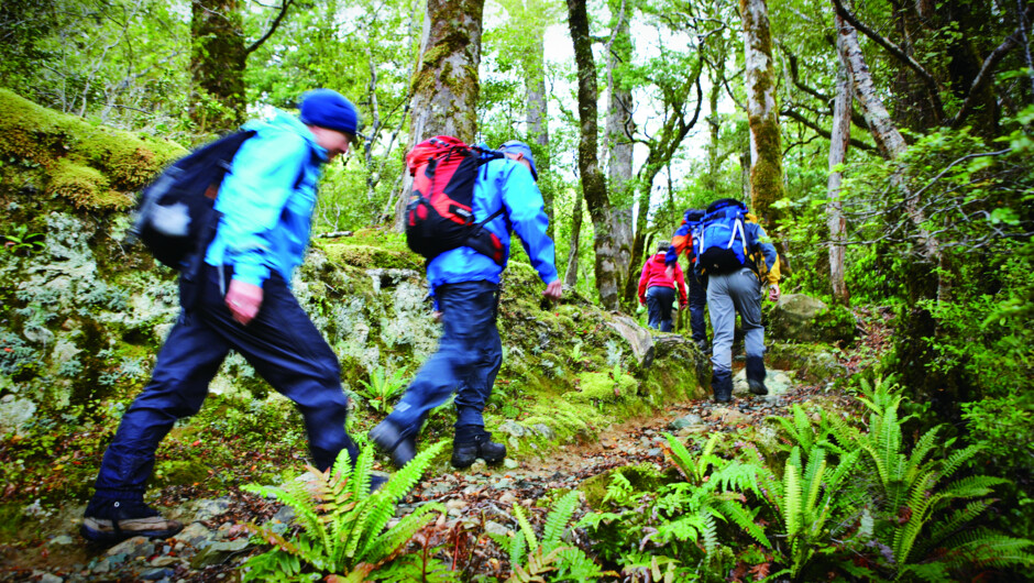 Hiking Little Homer Saddle