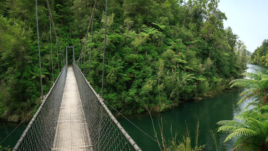 Swing bridge, Abel Tasman Coastal Track