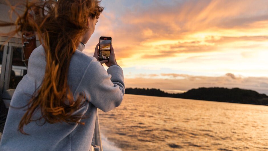 Wild Kiwi Encounter - Rakiura Stewart Island