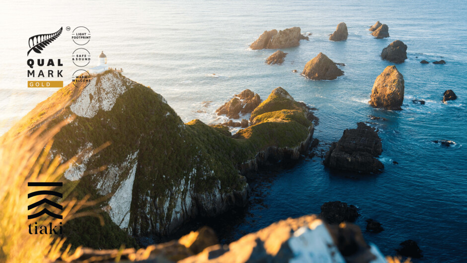 Cape Reinga Tour - Black Robin Transport