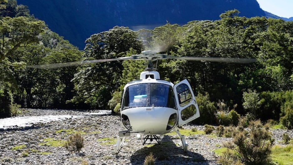 Doubtful Sound Discovery