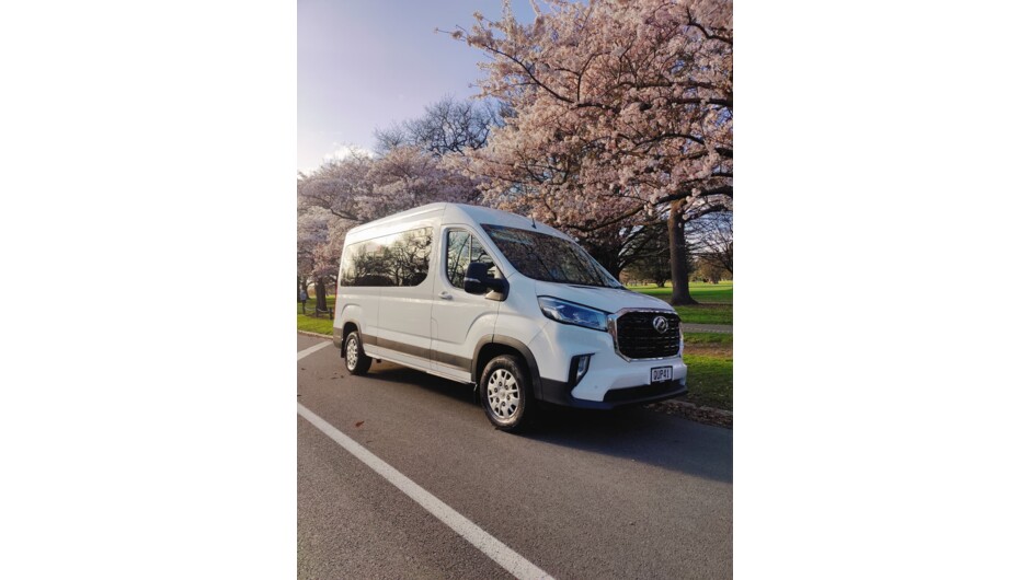 LDV Deliver 9 12-Seat Minibus