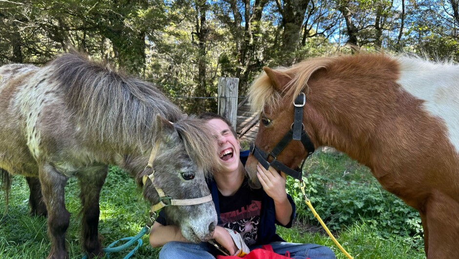 Pony fun &amp; picnics
