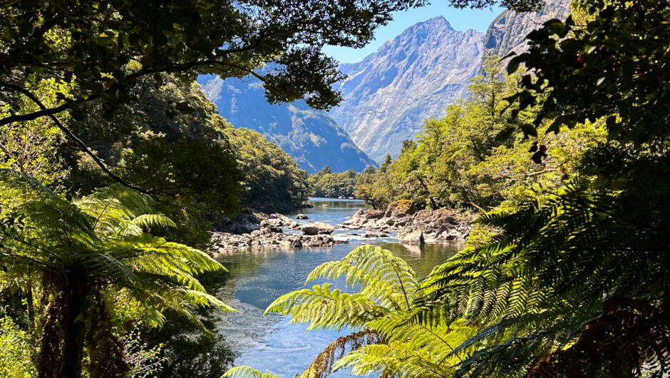 Explore the Milford Track