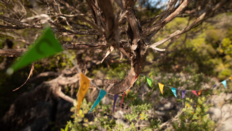 Simple Wedding décor - Hidden Valley Farm