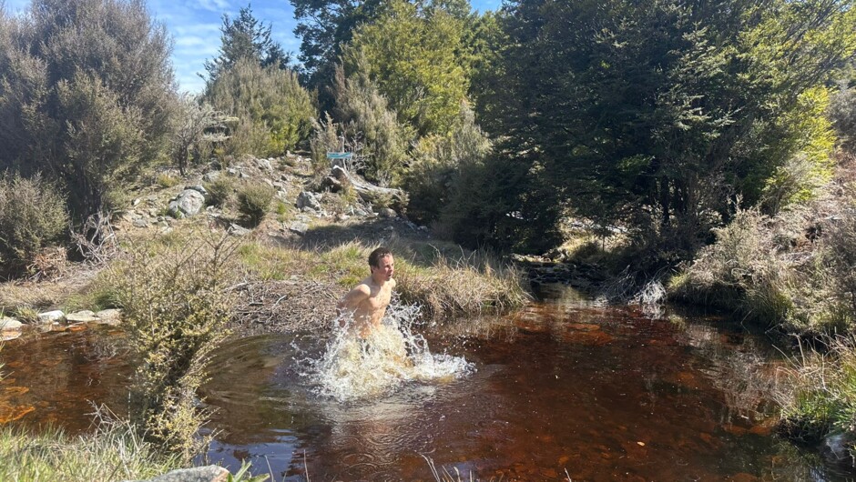 Natural Springs Plunge Pools - Hidden Valley Farm