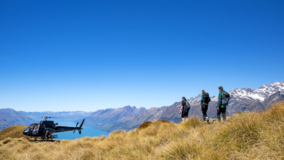 Mount Alfred Heli Hike