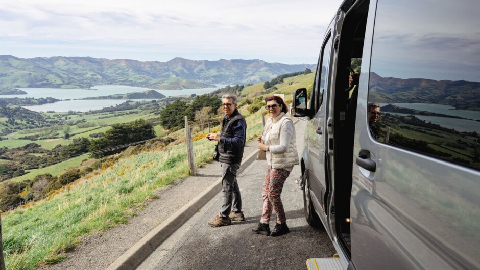 Akaroa Evening Penguin Tour