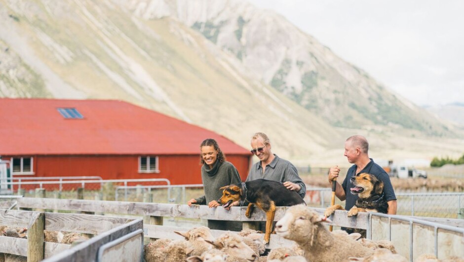 Flock Hill Station farm tour