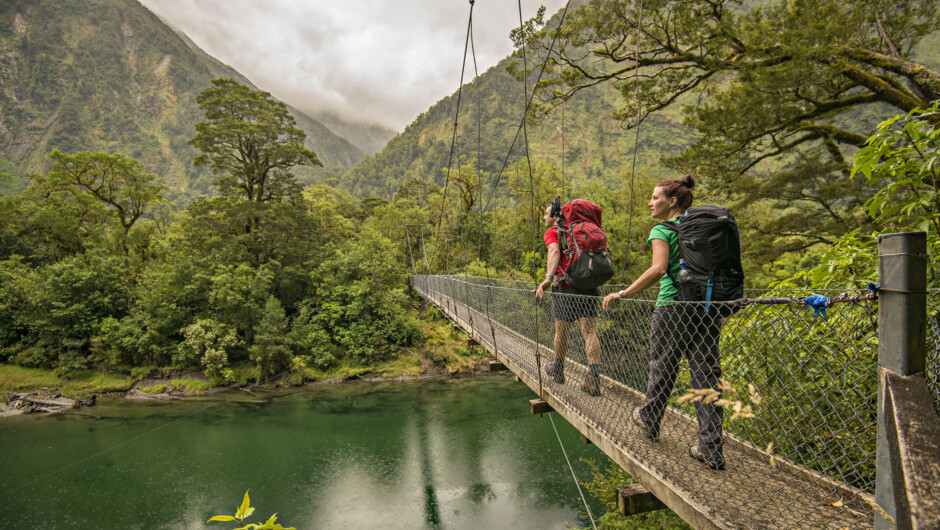 Swing bridge through beech forest on The Milford Track, one of New Zealand's Great Walks