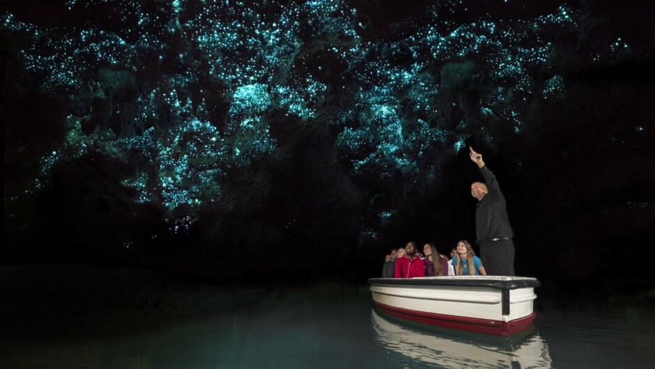 Waitomo Glowworm Caves