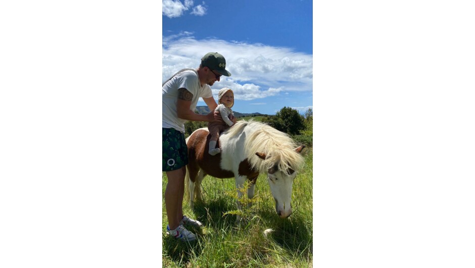 Baby's first pony ride experience