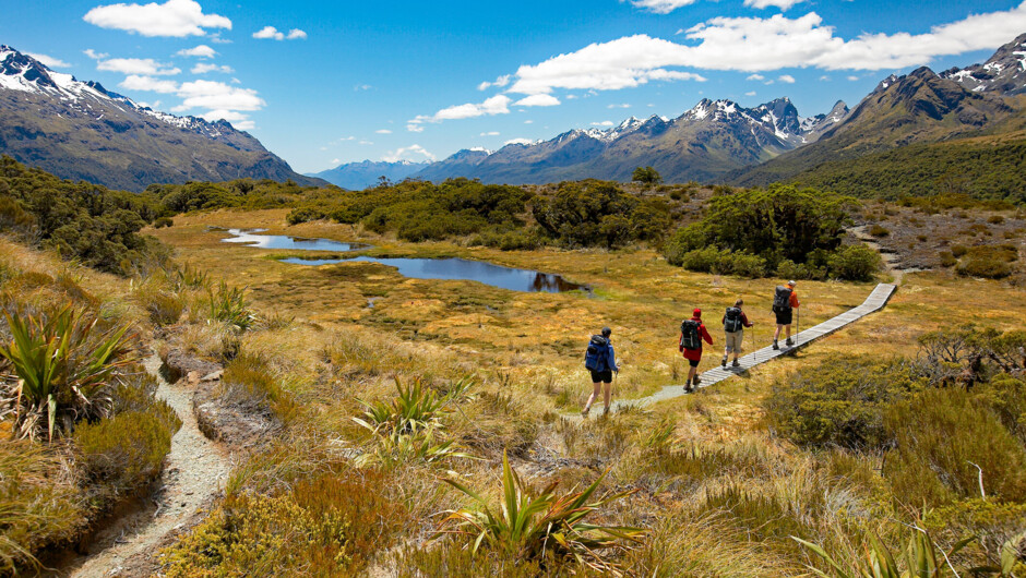 Hiking Key Summit Routeburn Track