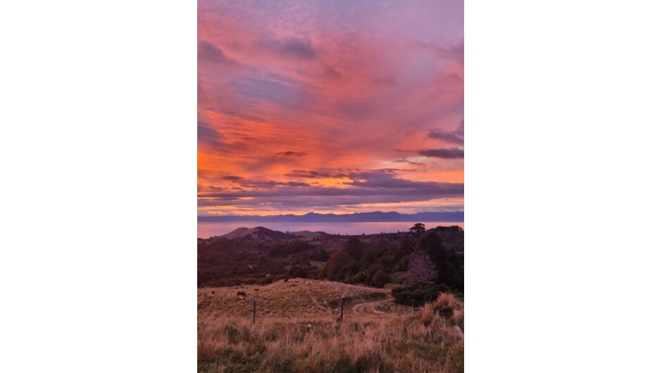 Sunrise Pilgrimage at Hidden Valley Farm NZ