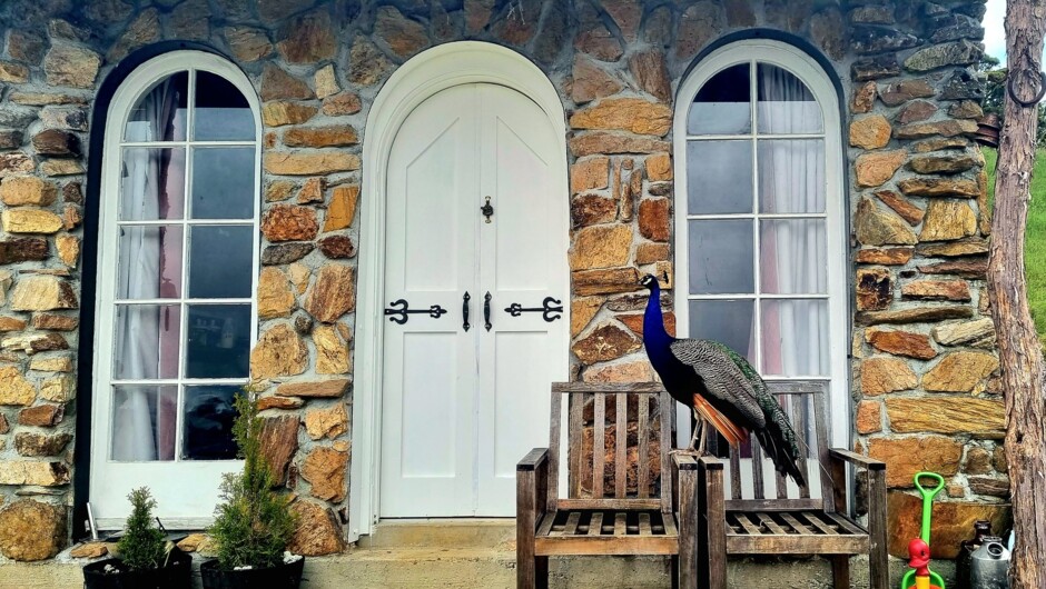 Hidden Valley Farm NZ Camping Hut