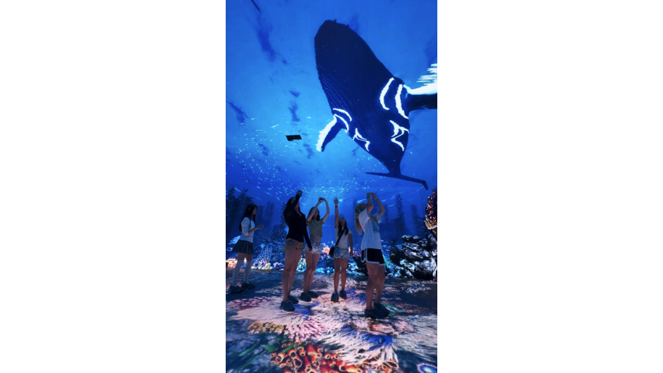 Under the Sea - 360° Immersive Experience
