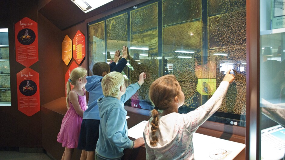 Bee Watching Arataki Honey