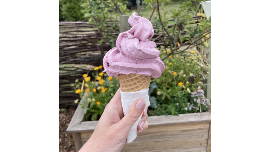 Real fruit ice-cream