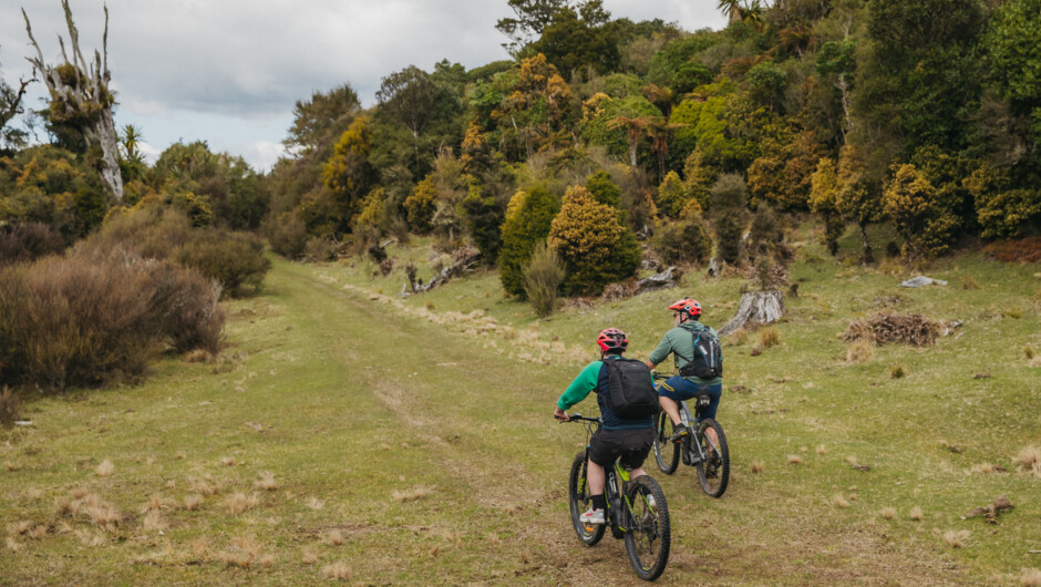 Variety of trails