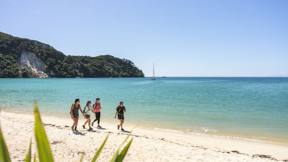Abel Tasman 3 day Guided Kayak and Walking Trip
