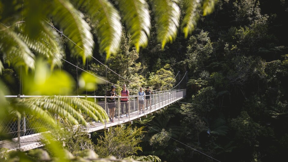 Walking in Abel Tasman National Park over swing bridge