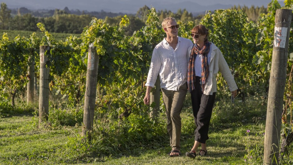 Marlborough Wine Tour – couple walking through the vines