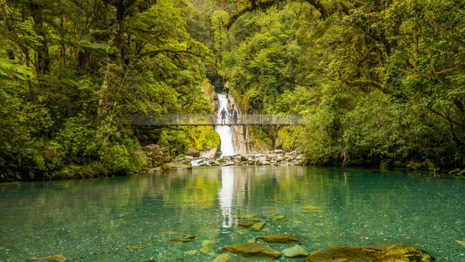 Giants Gate on The Milford Track