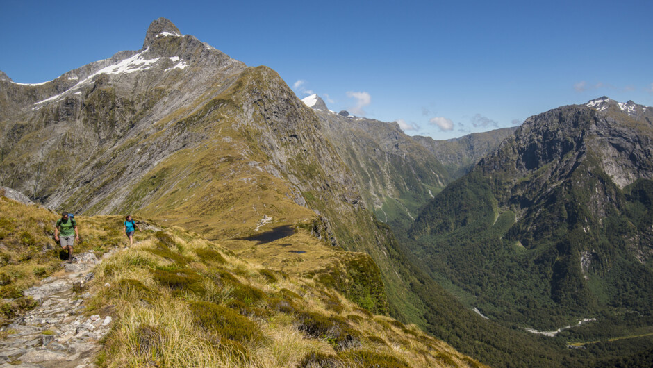 View point on The Milford Track
