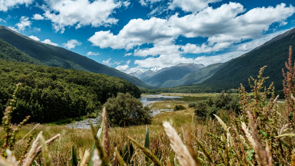 Driving to the West Coast from Queenstown. View from the Blue Pools Track