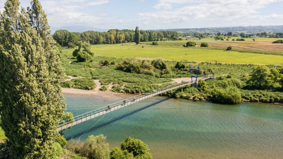 Great Taste Trail Cycle Bridge