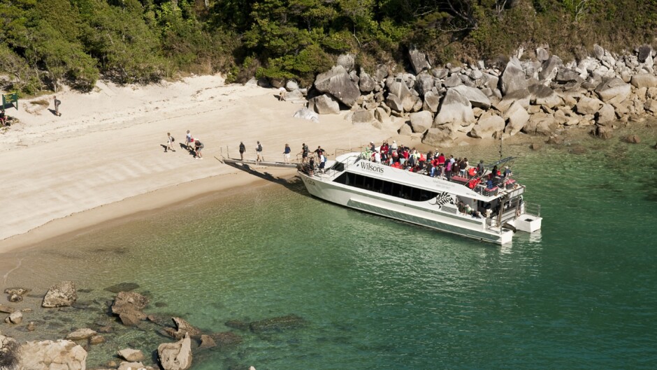 Disembarking the Vista Cruise, Abel Tasman