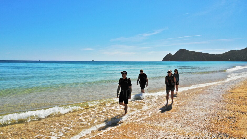 Beach Walk, Abel Tasman NP
