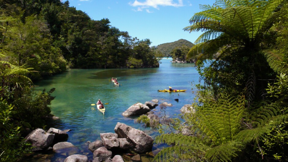 Kayaking, Abel Tasman NP