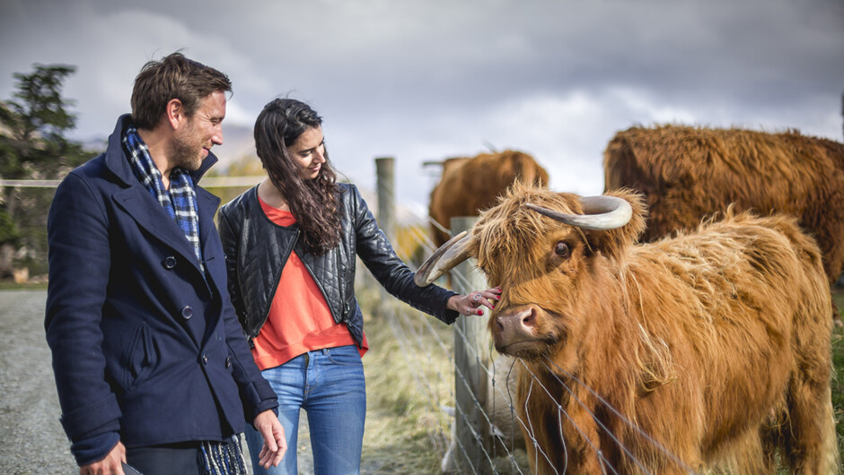 Walter Peak High Country Farm